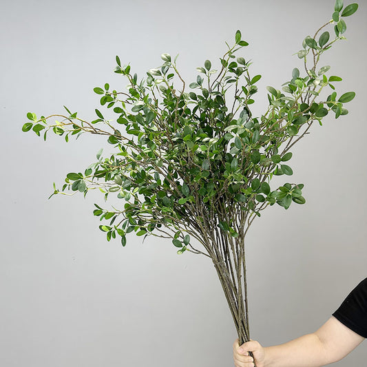 Decorative Banyan Leaves