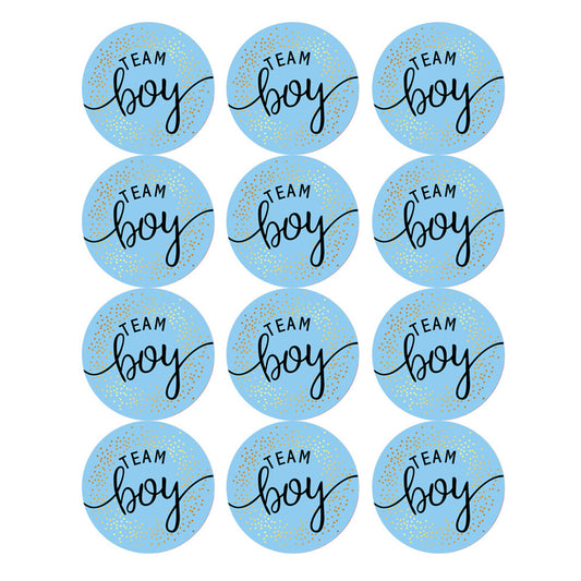 12 Pack Team Boy-Team Girl Gender Reveal Stickers