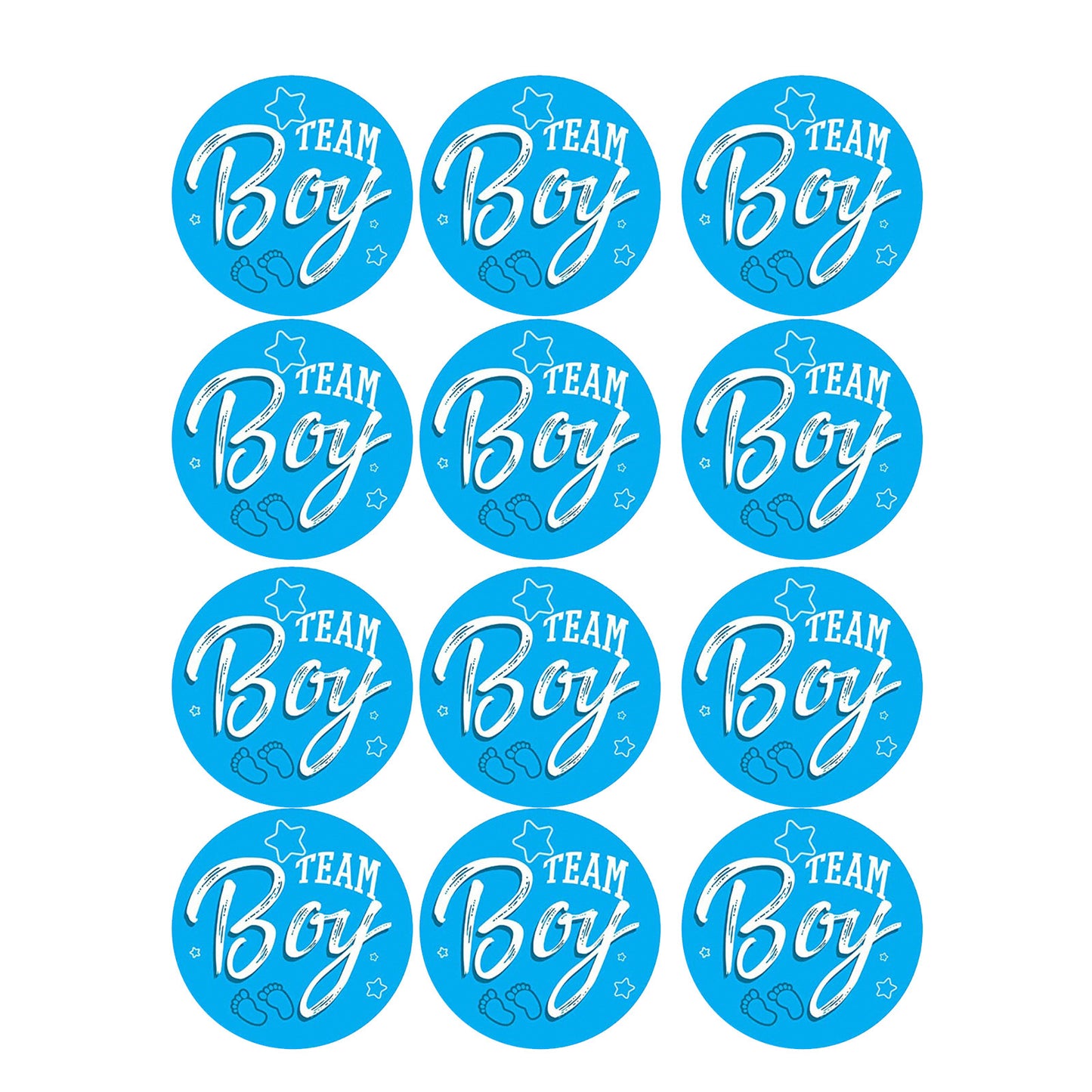12 Pack Team Boy-Team Girl Gender Reveal Stickers