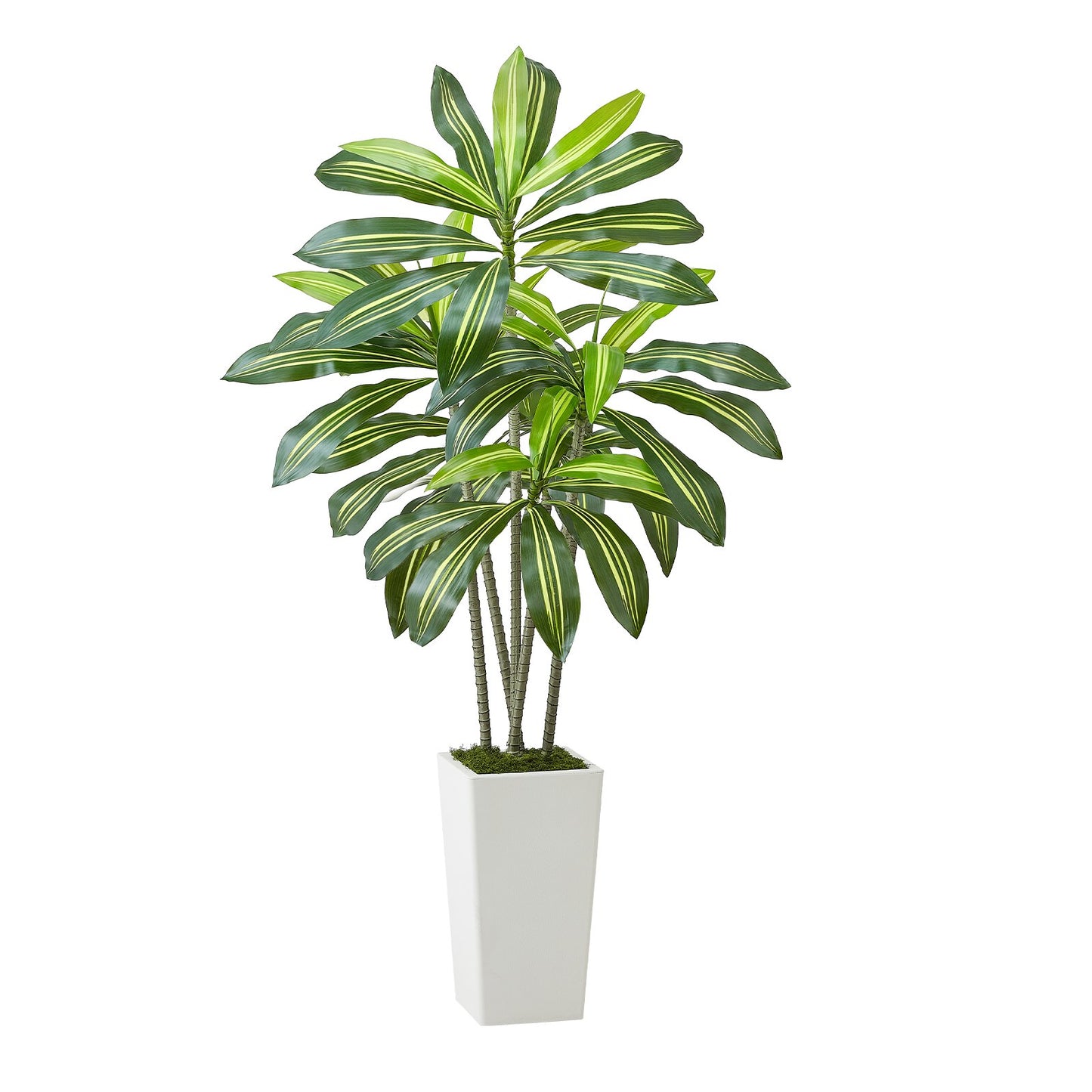 Artificial 5 Ft Dracaena Tree