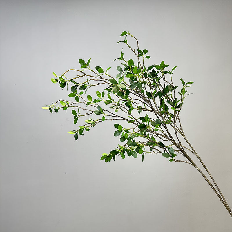 Decorative Banyan Leaves