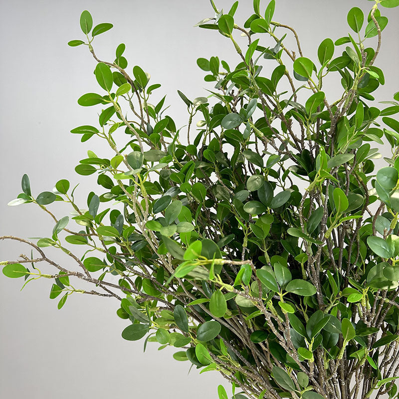Decorative Banyan Leaves