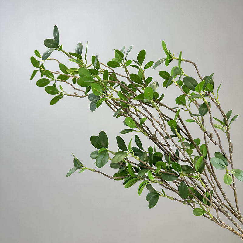Decorative Banyan Leaves